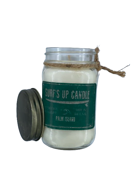 BOUGIE BIO SENTEUR PALMIER DES ILES 445 GR